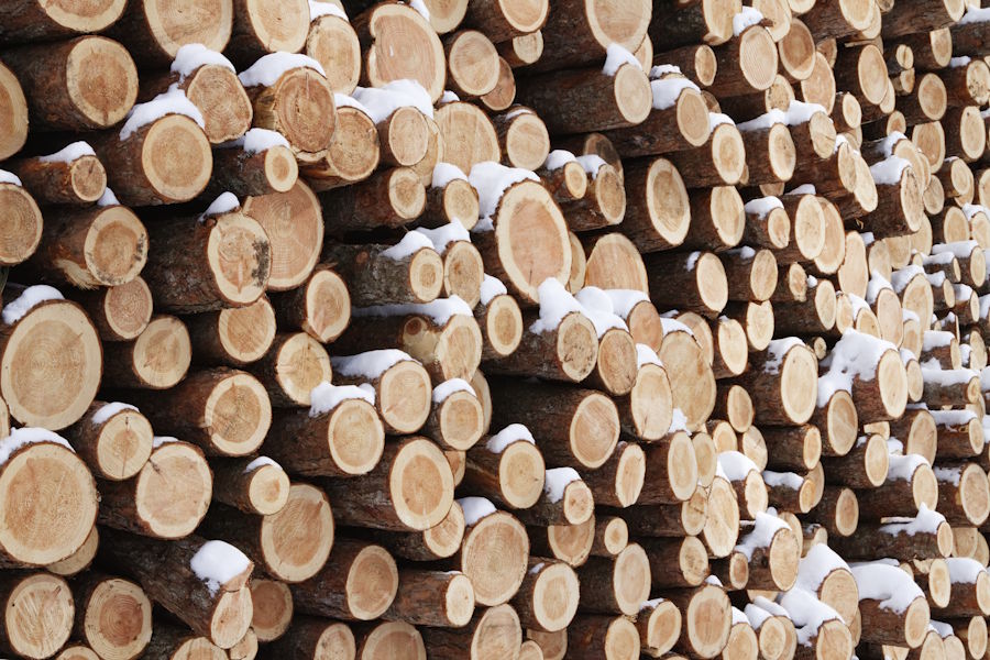Harvested standard timber is valued around €75 and €90 per cucic meter here in Europe. And remember, that is for already harvested logs, ready for the sawmill!