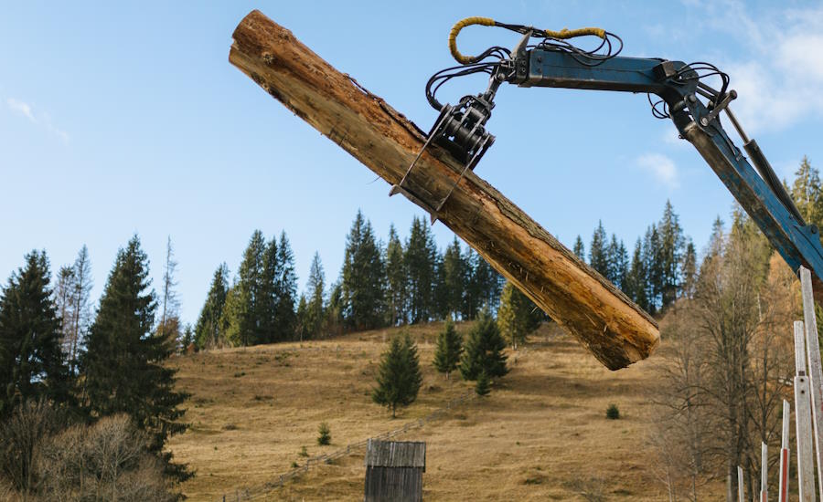 både skogsvagnar och skotare är utrustade med griplastare dvs skogskran vilket underlättar avsevärt för att lyfta upp den avverkade skogen på kärran