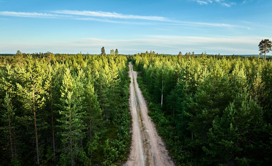 max 5 000 kvadratmeter skog dvs 0,5 hektar får man avverka utan att skicka in en anmälan till Skogsstyrelsen